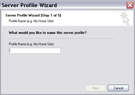 Server Profile Wizard