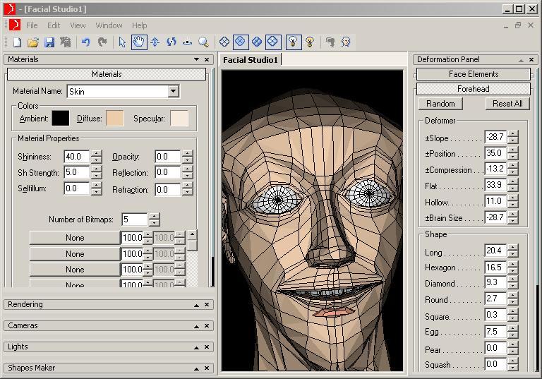 Face Elements