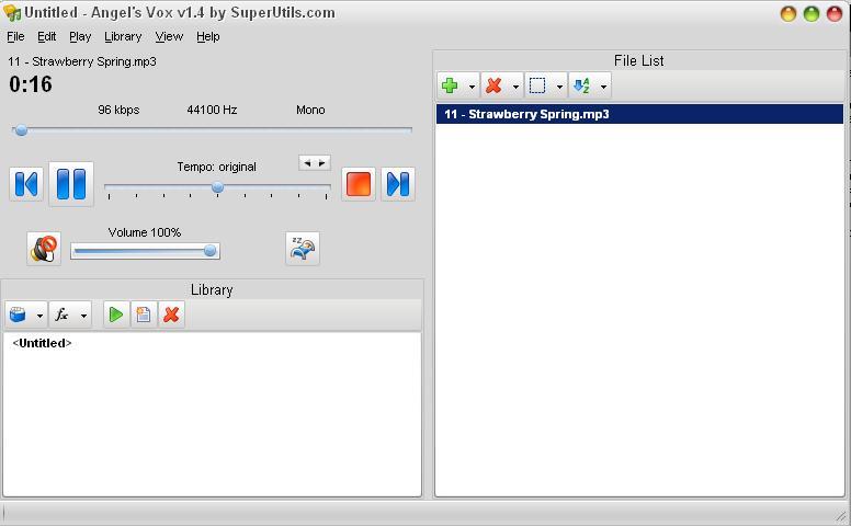 Main interface-playing a file