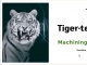Tiger-tec Silver Calculator