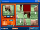 Horse Puzzle Window