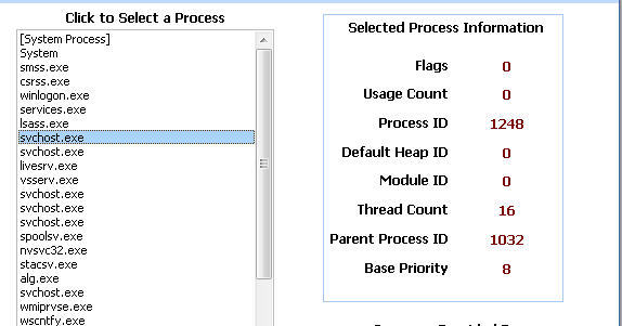 Showing Process Details