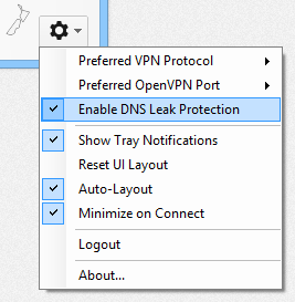DNS Leak Protection
