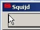 Squijd