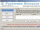 IE Password Revealer