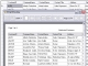 Teroid Data Grid View Print Control