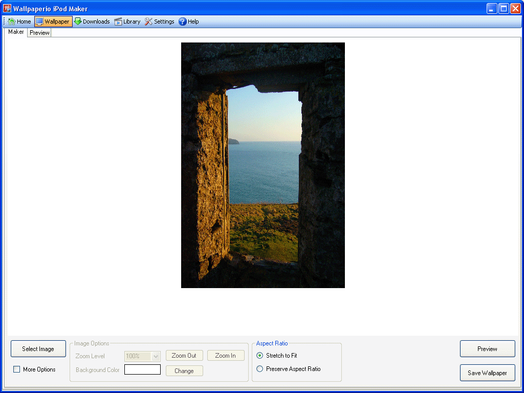 Main window