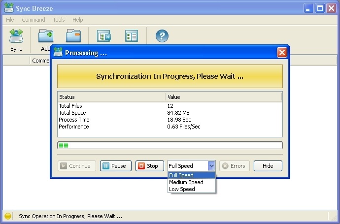 Synchronization Process