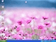 Animated Flower Wallpaper