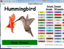 Hummingbird