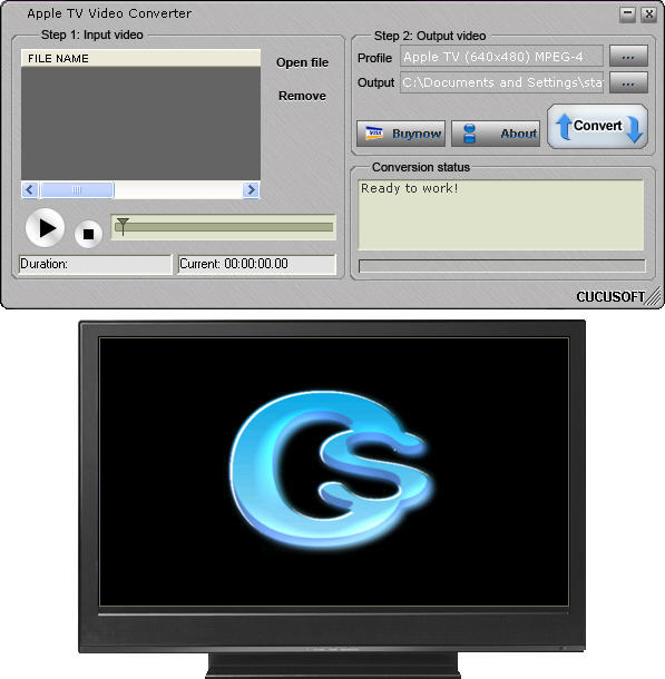 TV video converter window.