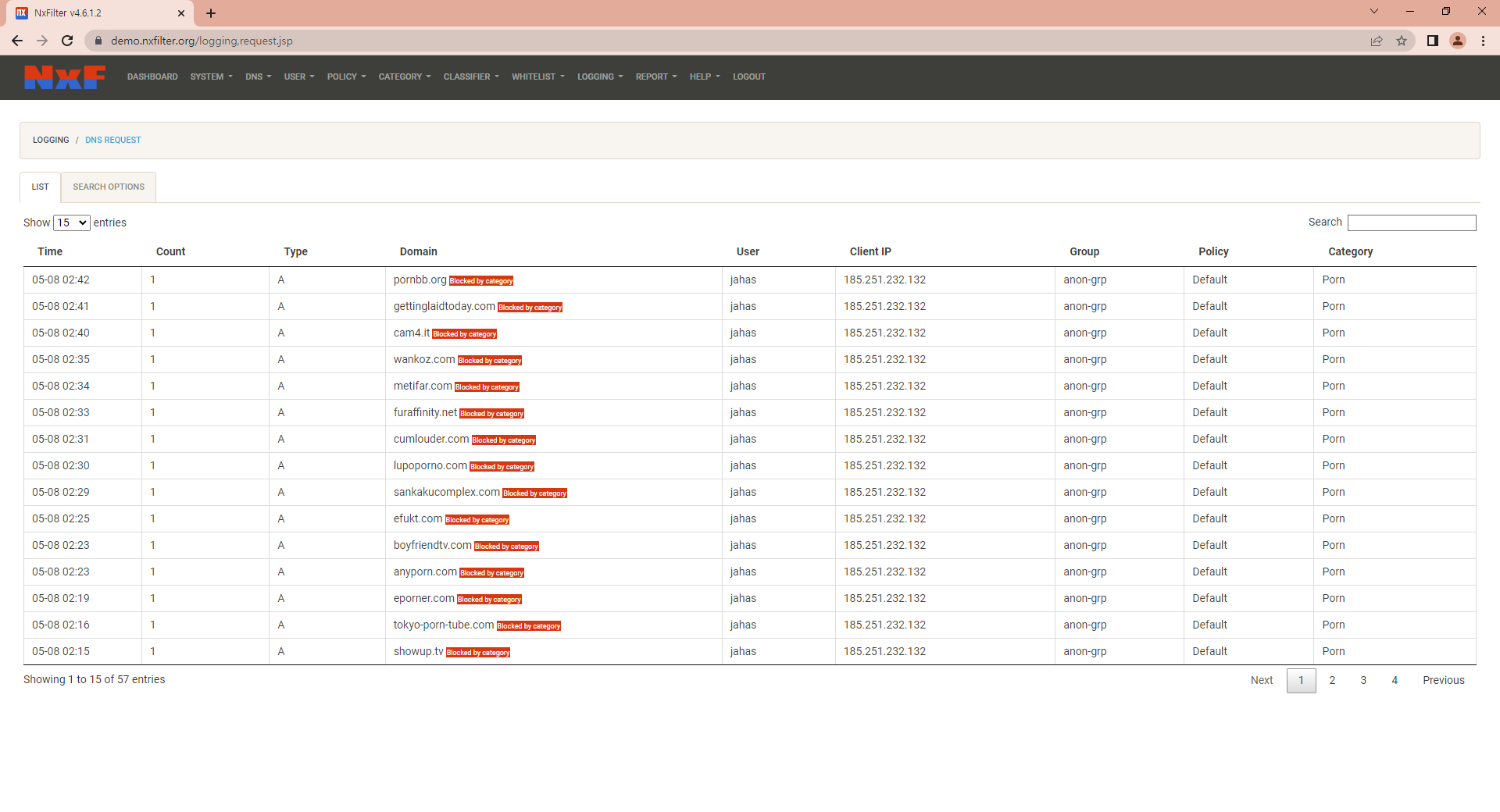 DNS request logging