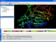 Molegro Molecular Viewer