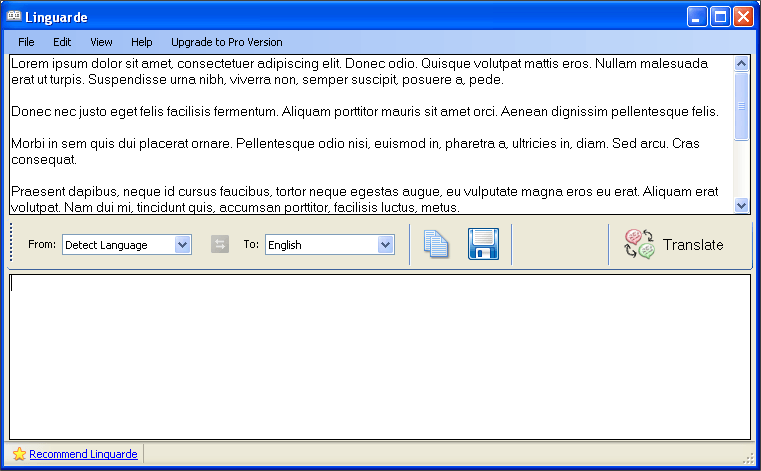 Main Window with Input Text
