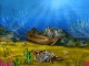 Pirates Treasures Screensaver