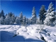 Russian Winter Panorama HD Screensaver