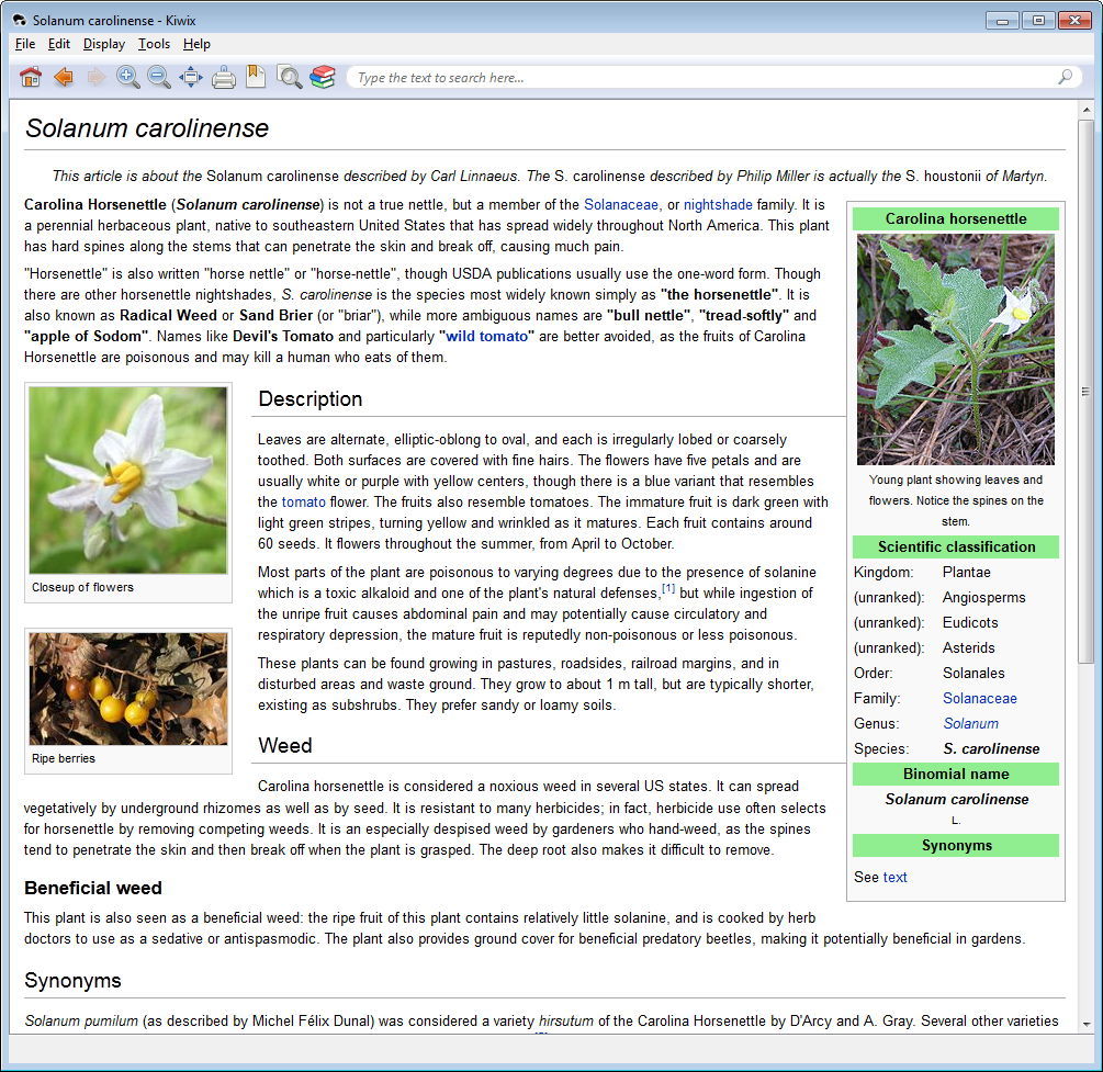 A Wiki Article
