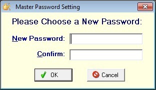Master Password Setting
