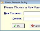 Master Password Setting