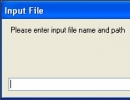 Input File