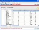 Quick Recovery for Oracle Database screenshot