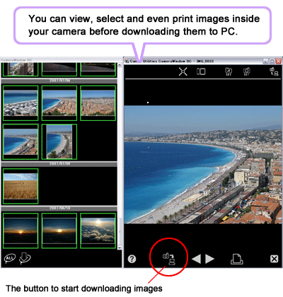 Camera printing option