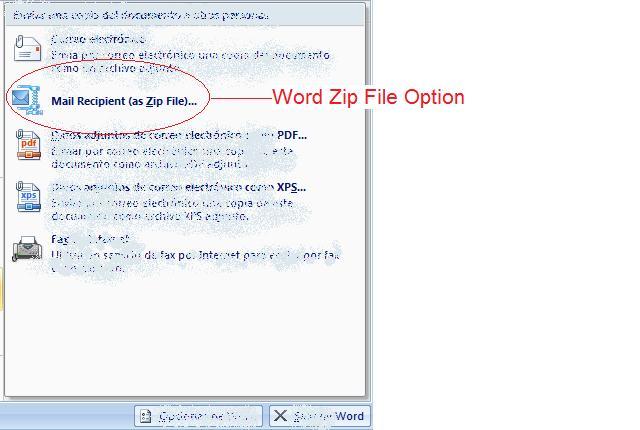 Word Zip File Option