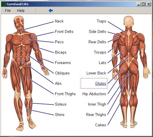 Body map