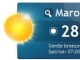 Weather forecast (3)