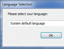 Language Selection Window