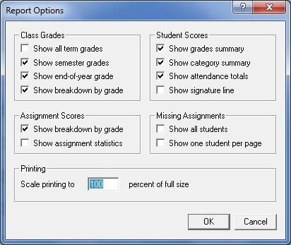 Report Options Window