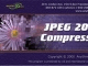 JPEG 2000 Compressor