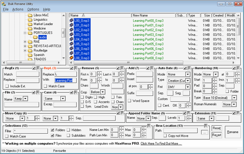 Renaming Files