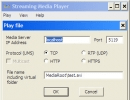 Play File Window