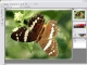 Altarsoft Photo Editor