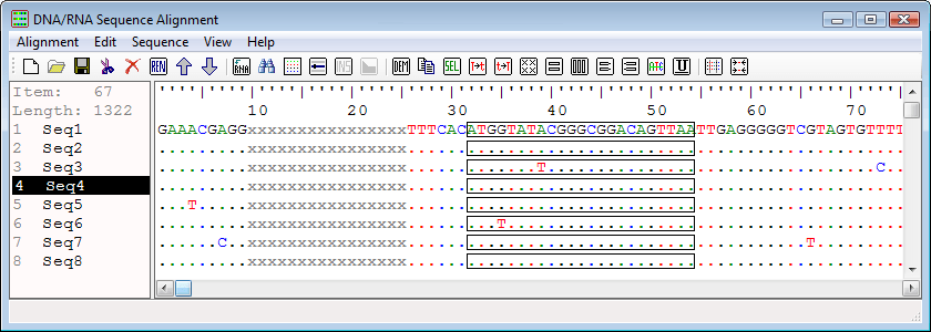 Main window