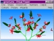 Virtual Flower