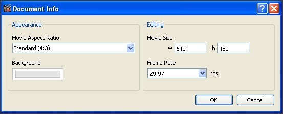 Video Properties Window