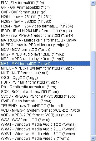 Output format list