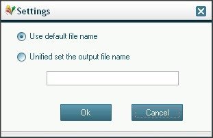 Output File Names Setting