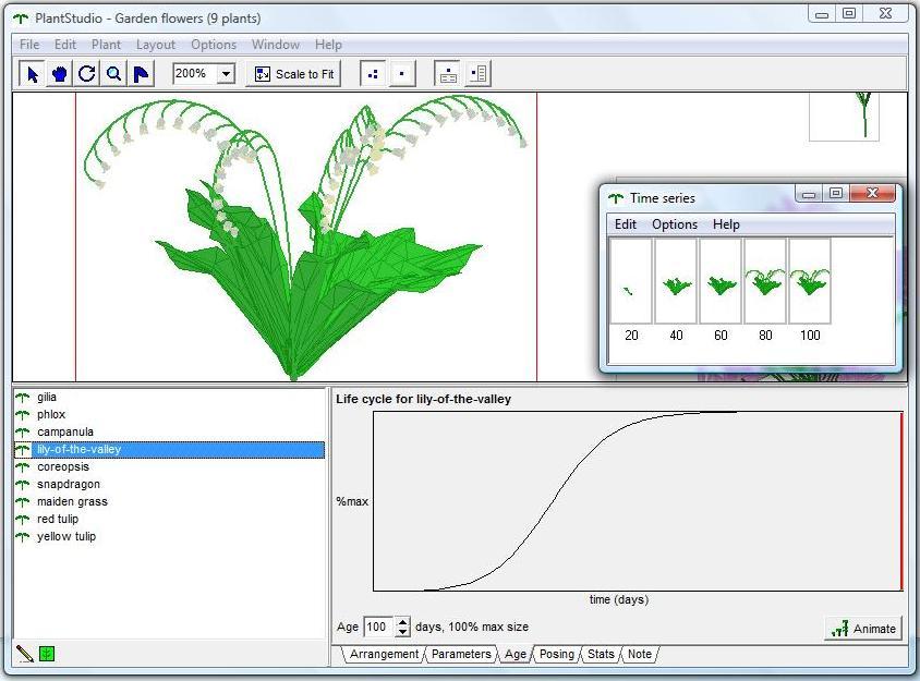 Time Series