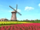 Windmill 3D Screensaver