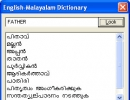 English-Malayalam Dictionary panel