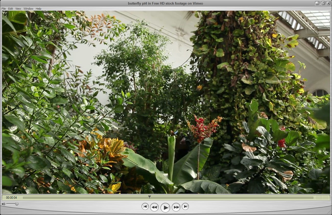 This window shows how QuickTime makes a good job playing full HD videos