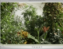 This window shows how QuickTime makes a good job playing full HD videos