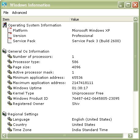 System Info window
