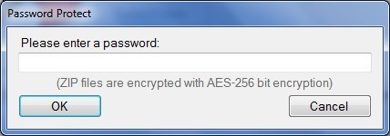 Password Protect Window