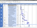 A project view in the Gantt mode