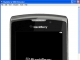 BlackBerry Simulator (9800)