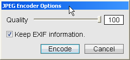 Encoder window